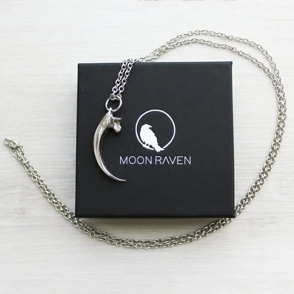 NEW Moon Raven Eagle Talon Claw Solid Stainless Steel Pendant Necklace 32" - Picture 3 of 11